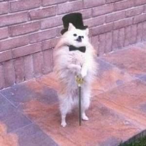 Meet your Posher, Jesus